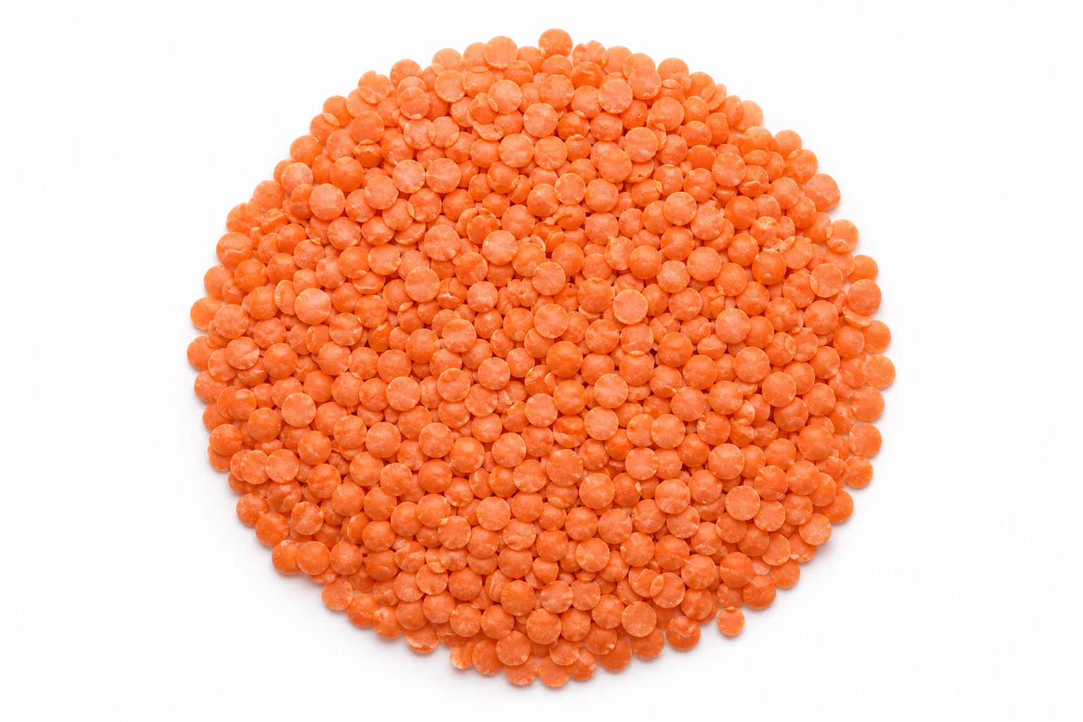 Masoor Dal Premium
