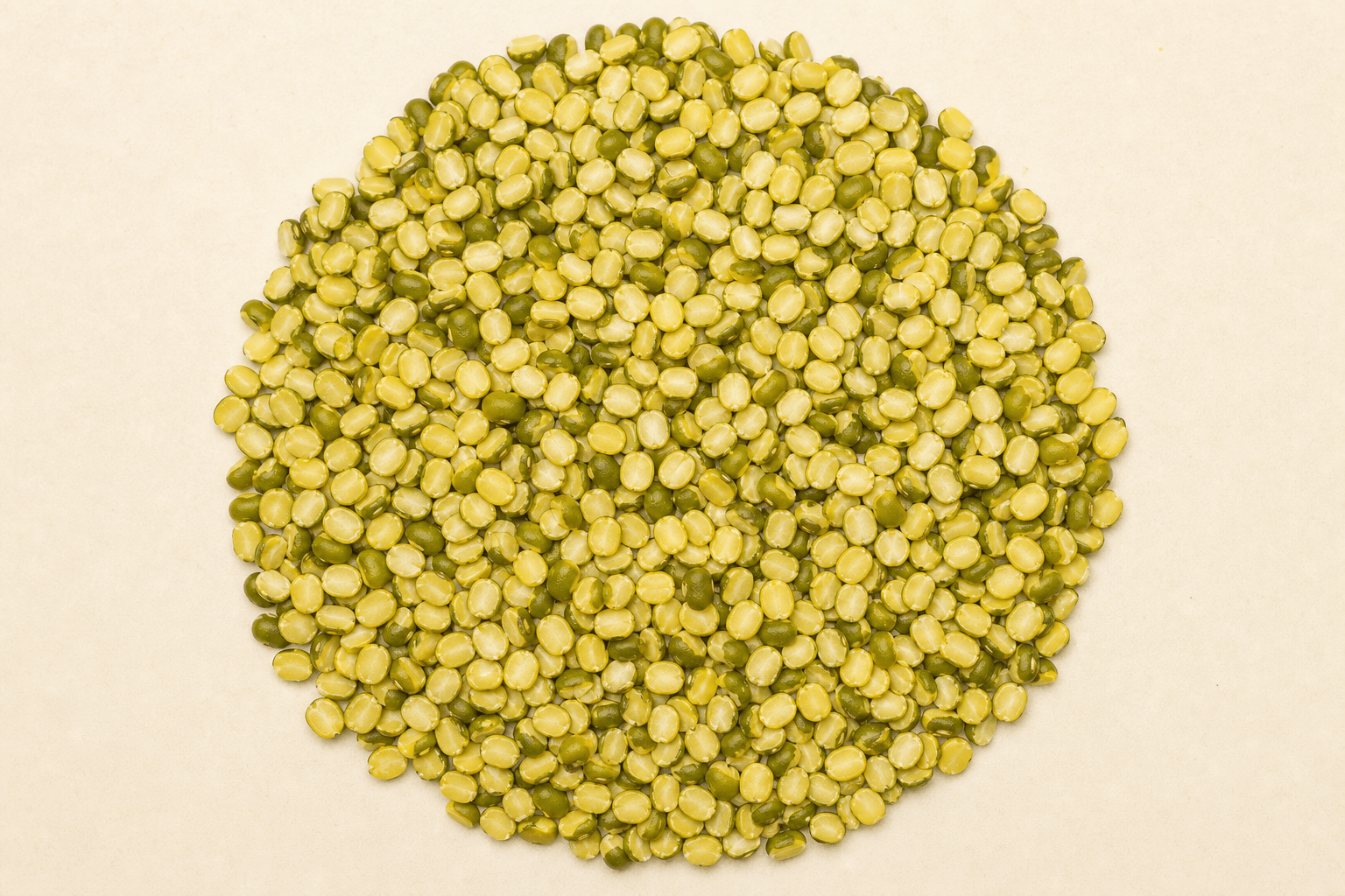 Moongdaal Saal