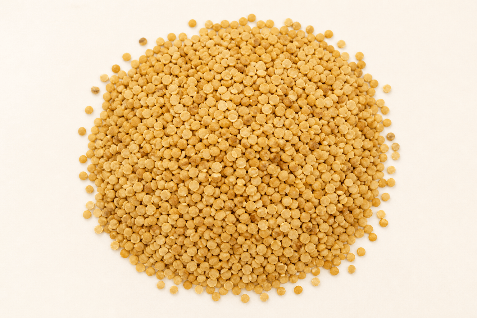 Moth Daal Classic