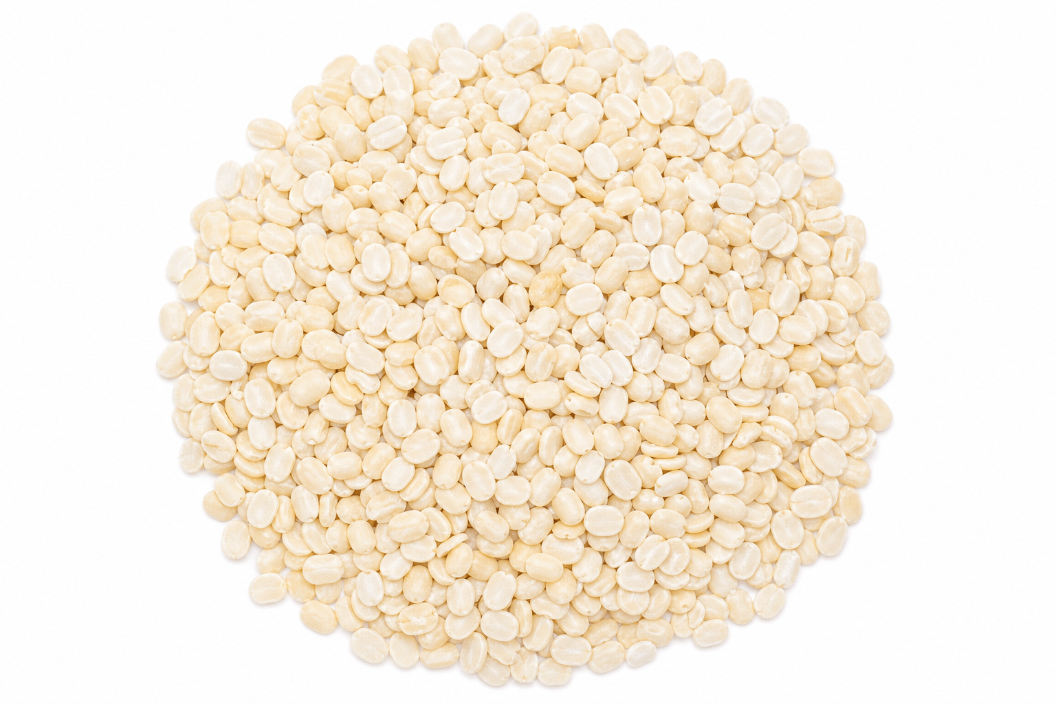 Udiddaal Premium
