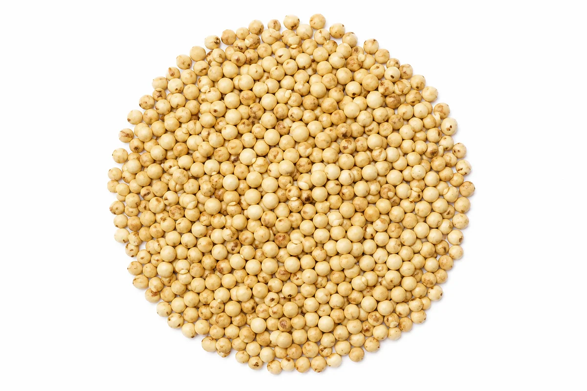 Jawari (Sorghum)